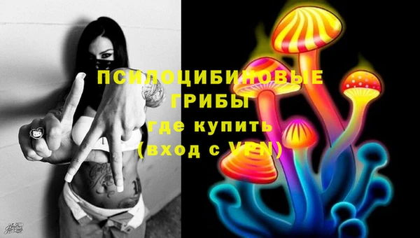 прущая мука Инта