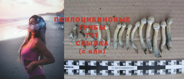 мескалин Иннополис