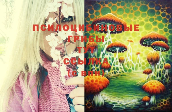 прущая мука Инта