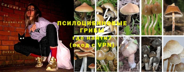 прущая мука Инта